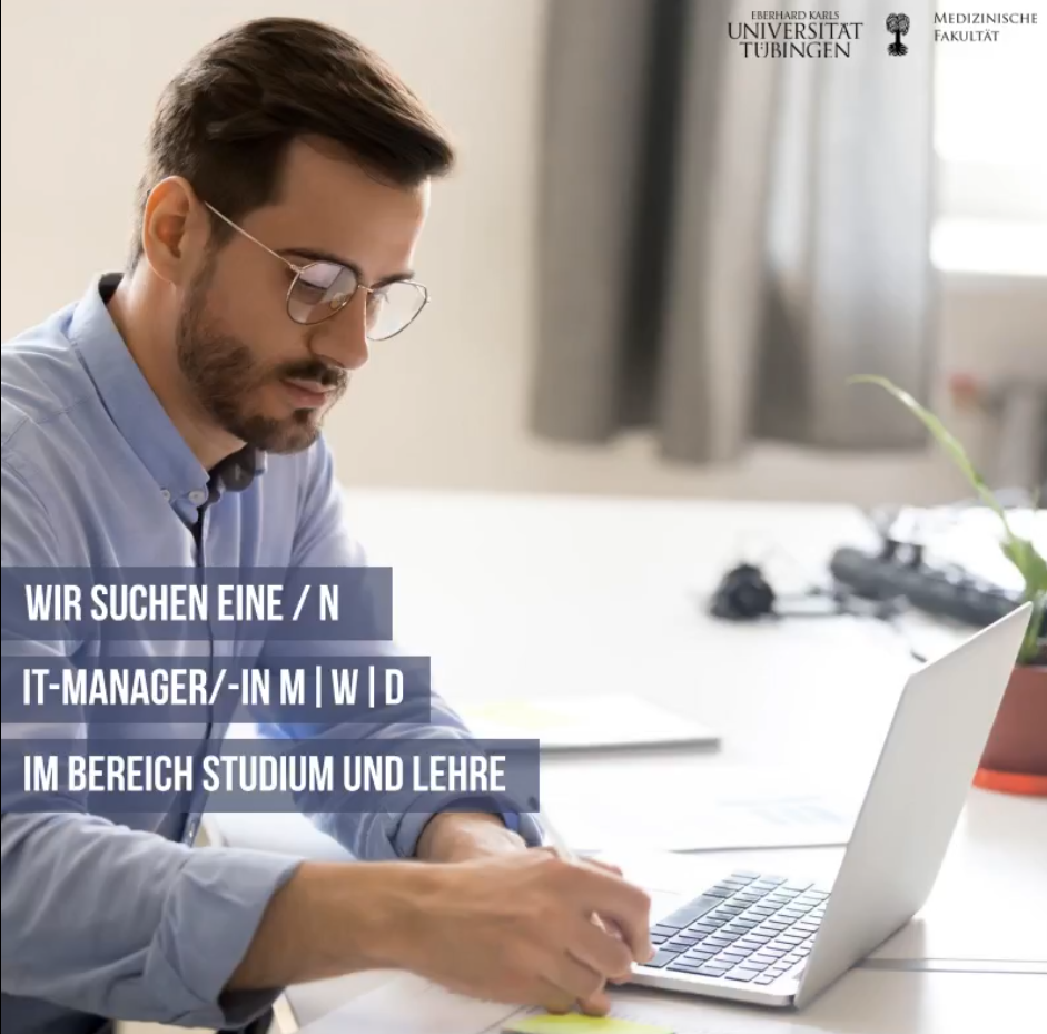 IT Manager