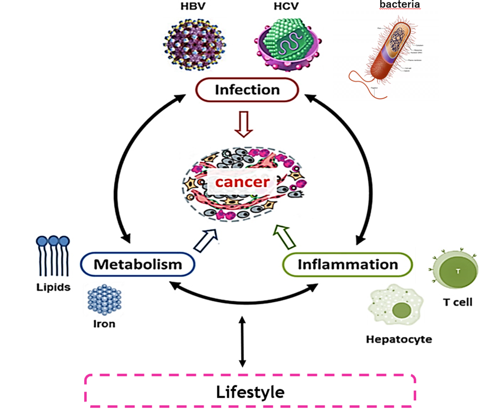 Wissenschaftliche Abbildung