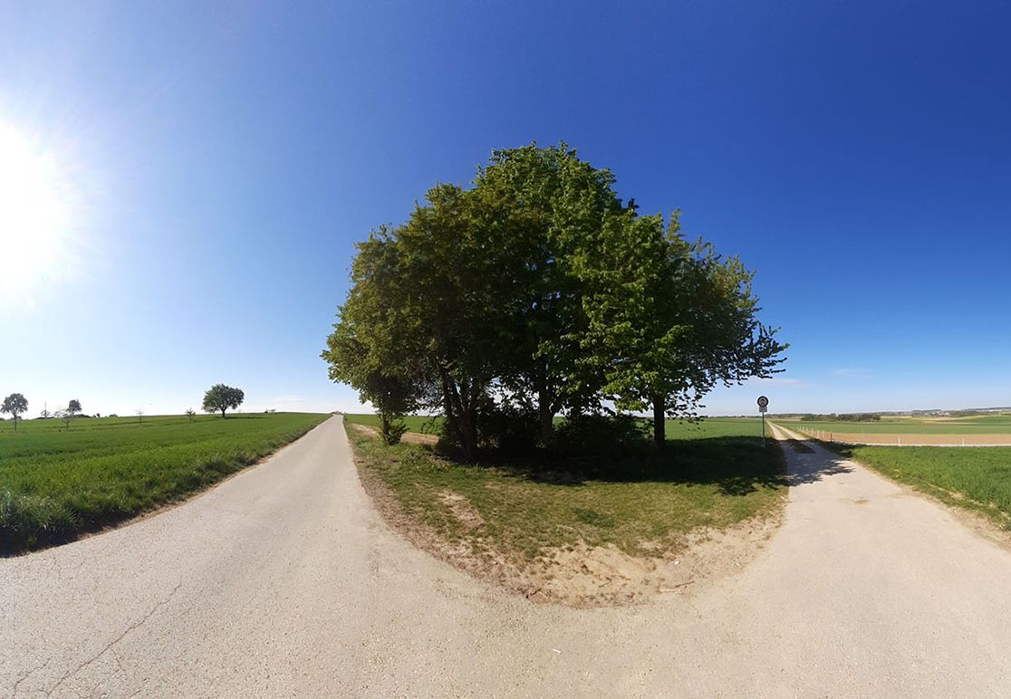 Schmuckbild Weggabelung mit Bäumen und Wiesen