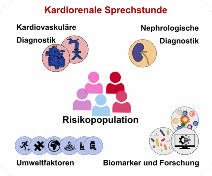 Wissenschaftliche Abbildung zum Text