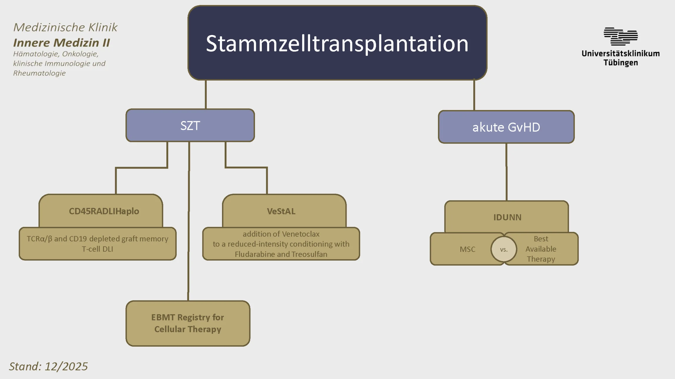 Organigramm Studienübersicht Stammzelltransplantation - Siehe Text rechts