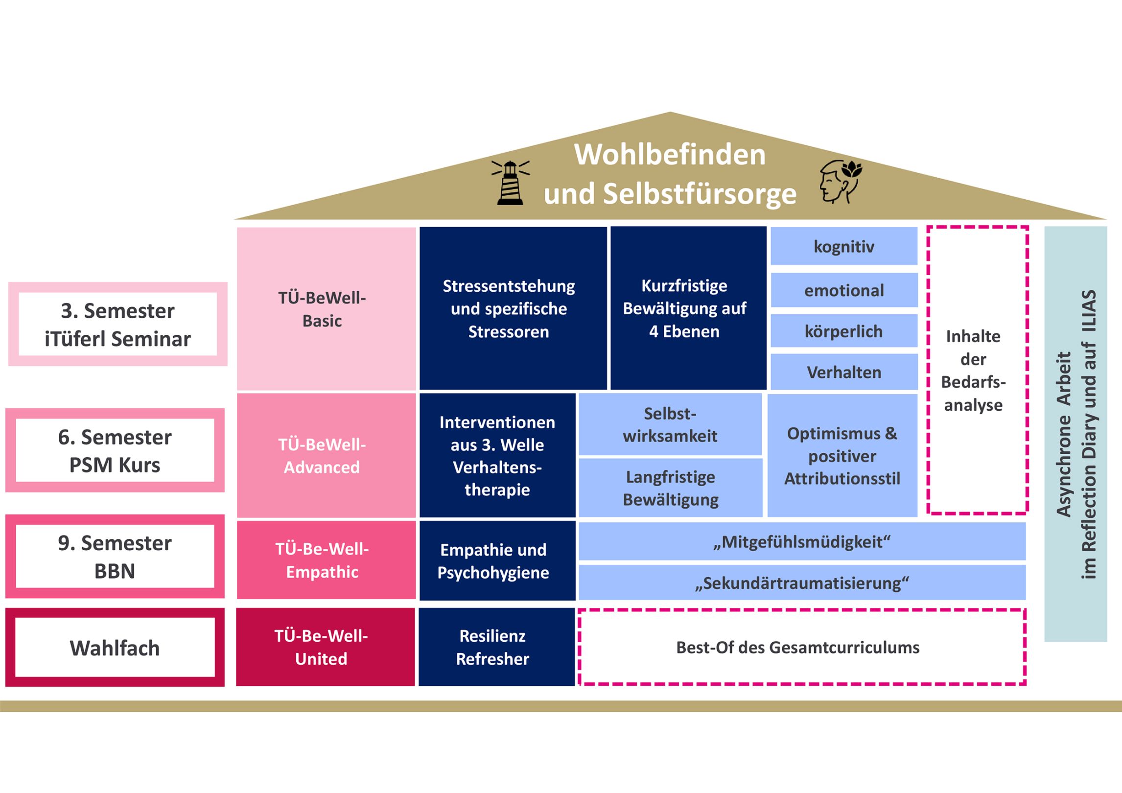 Übersicht über Ablauf und Inhalte des Curriculums