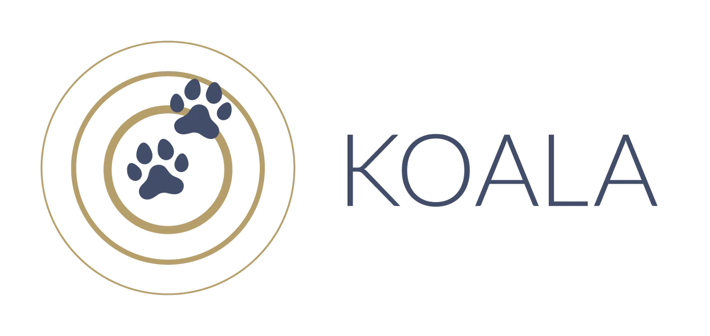 KOALA Studie Key Visual