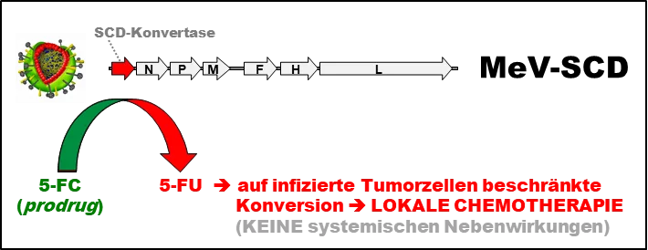 Wissenschaftliche Abbildung