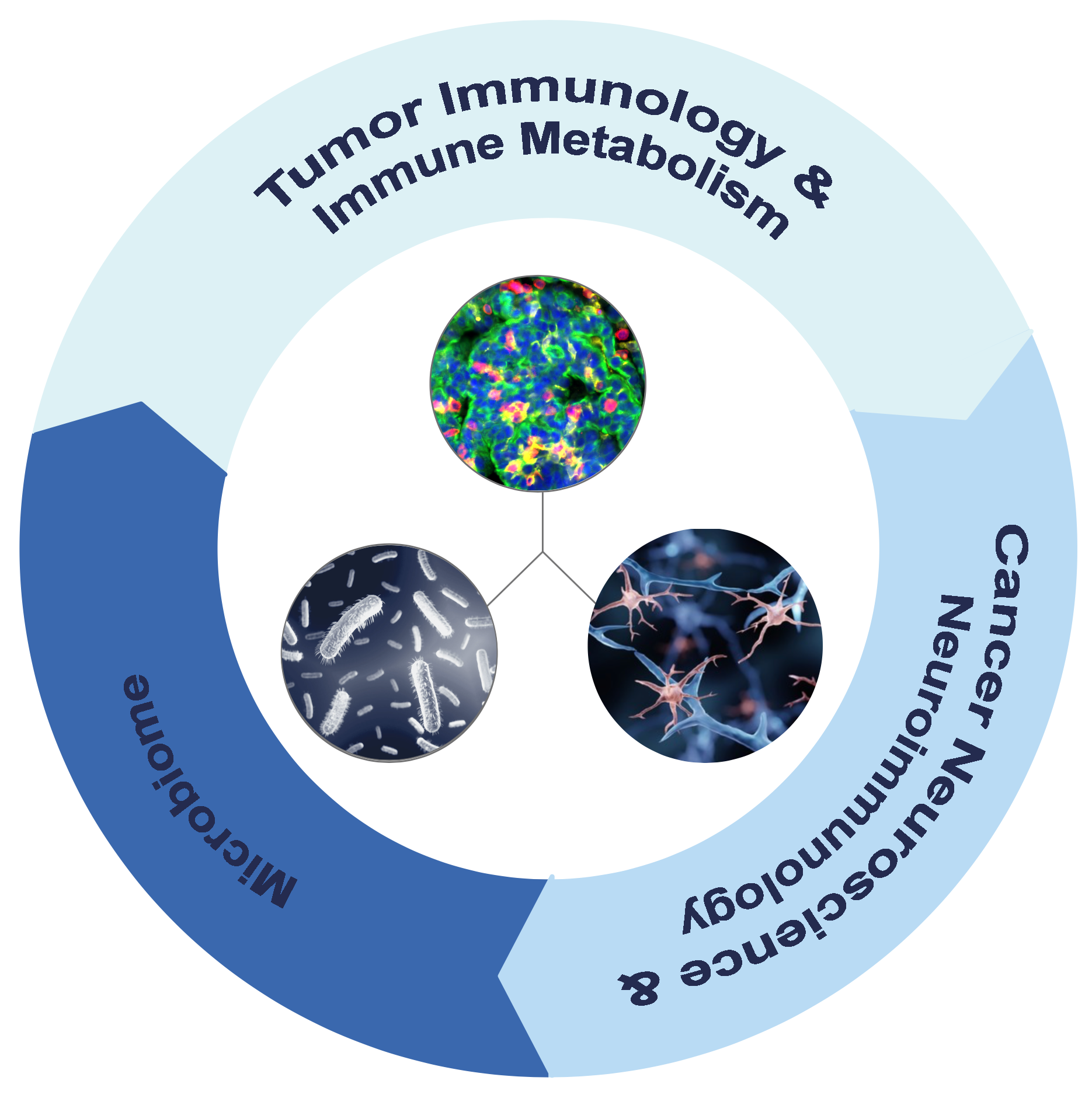 Abbildung der Forschungsschwerpunkte