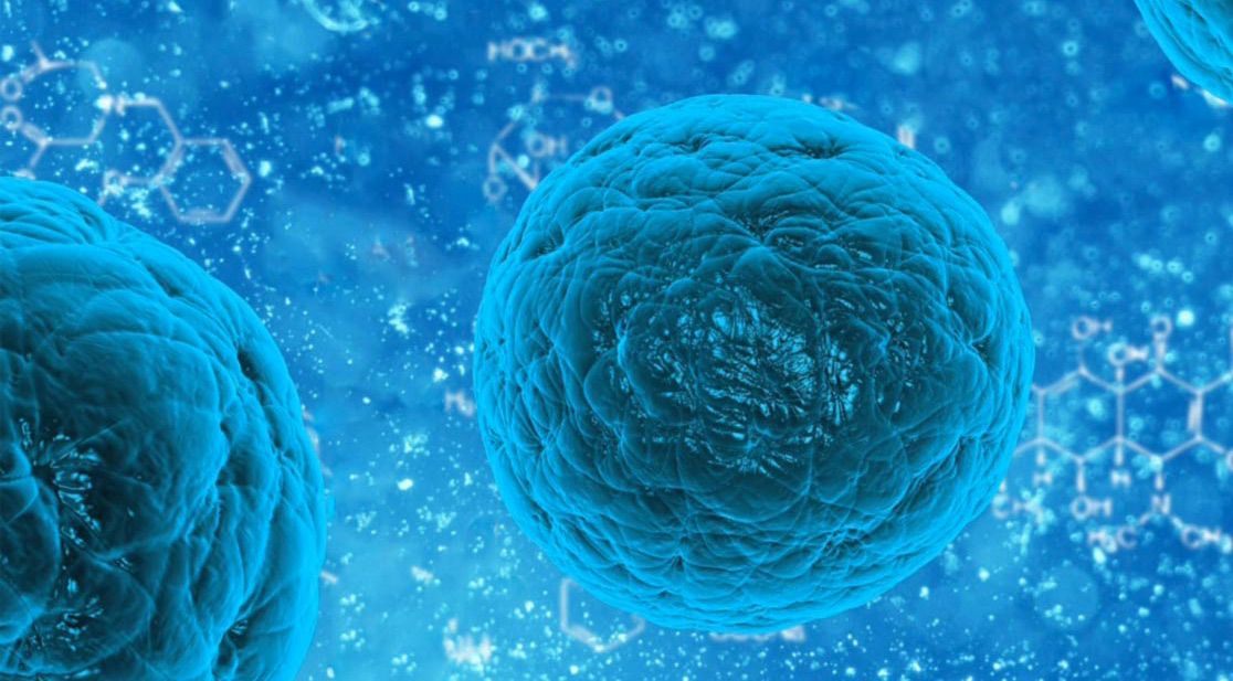 Schmuckbild Krebszellen