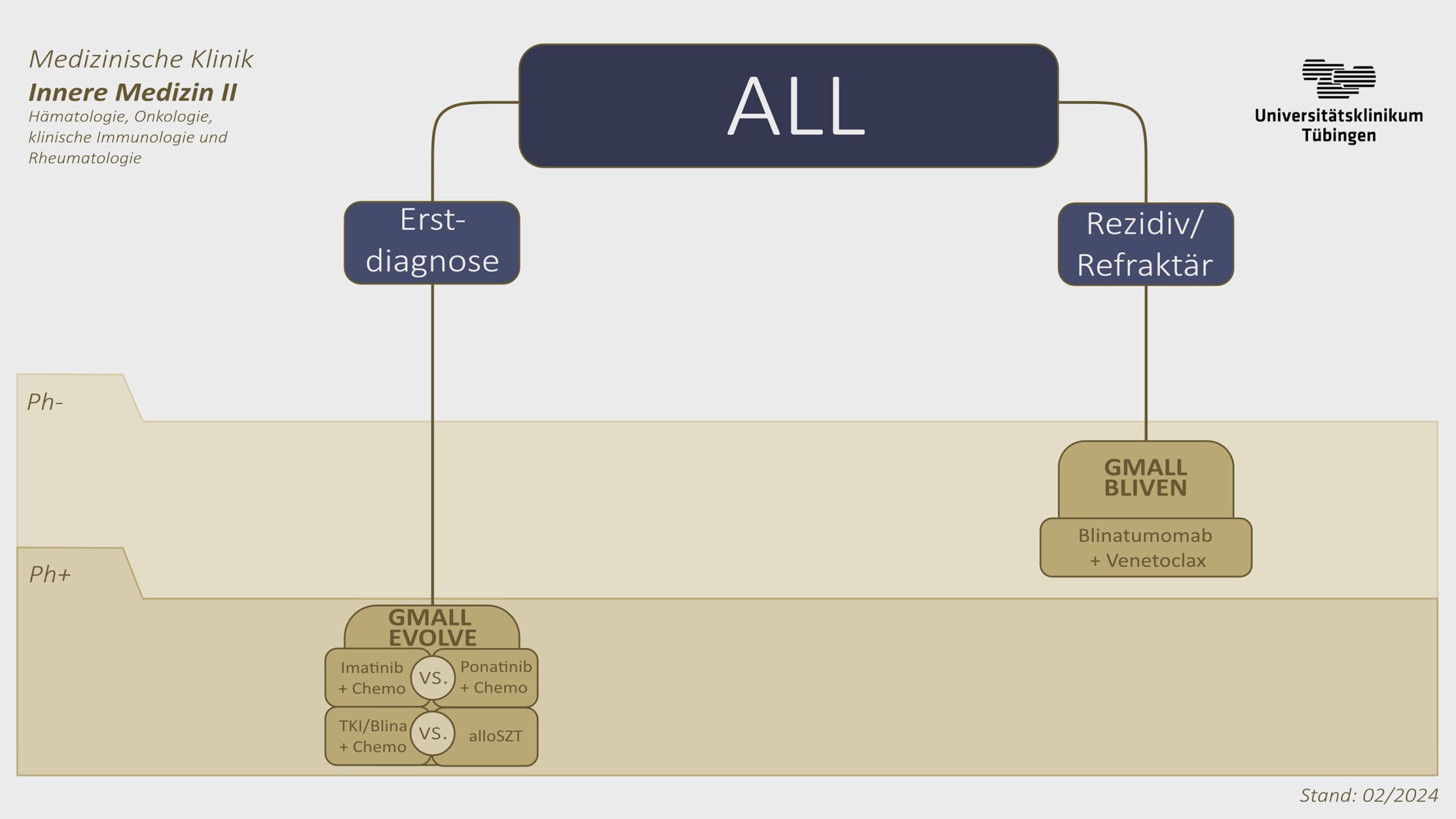 Organigramm Studienübersicht- Siehe Text rechts
