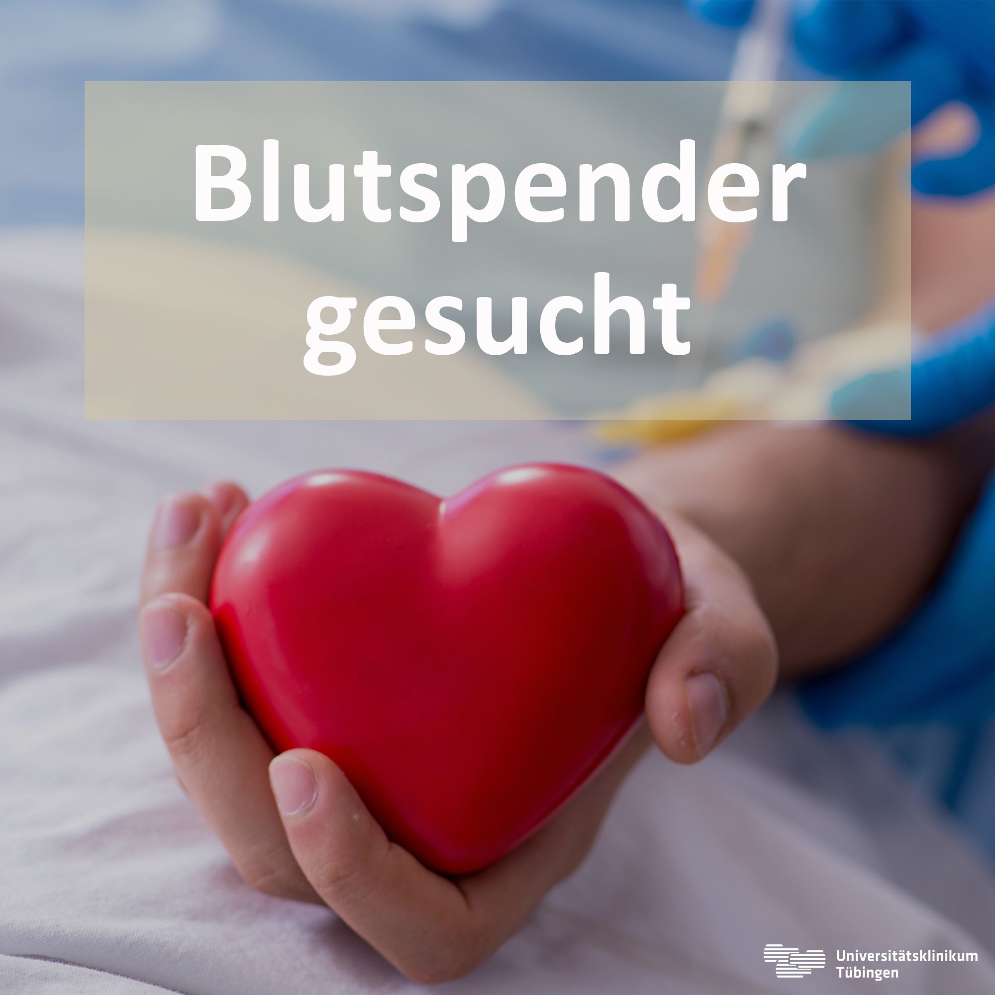 Bildquelle: Shutterstock