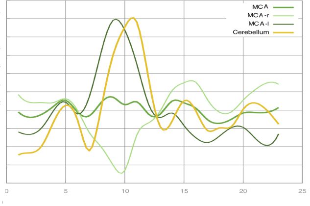 Wissenschaftliches Diagramm
