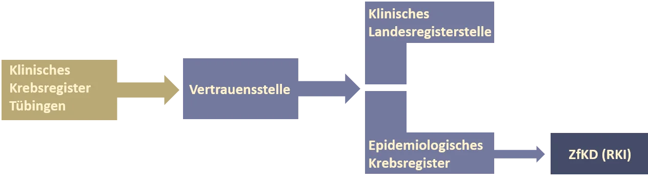 Schaubild Meldereihenfolge wie im Text beschrieben