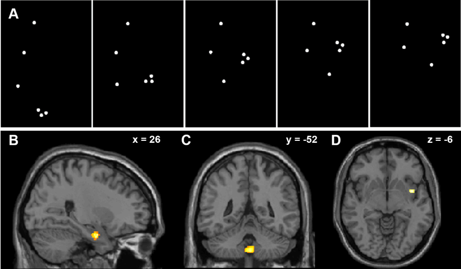 Wissenschaftliche Abbildung