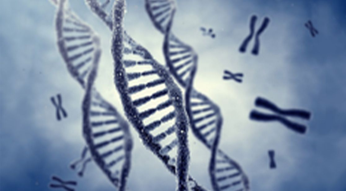 Schmuckbild: DNA-Stränge