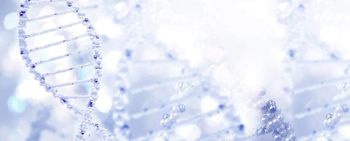 Schmuckbild DNA