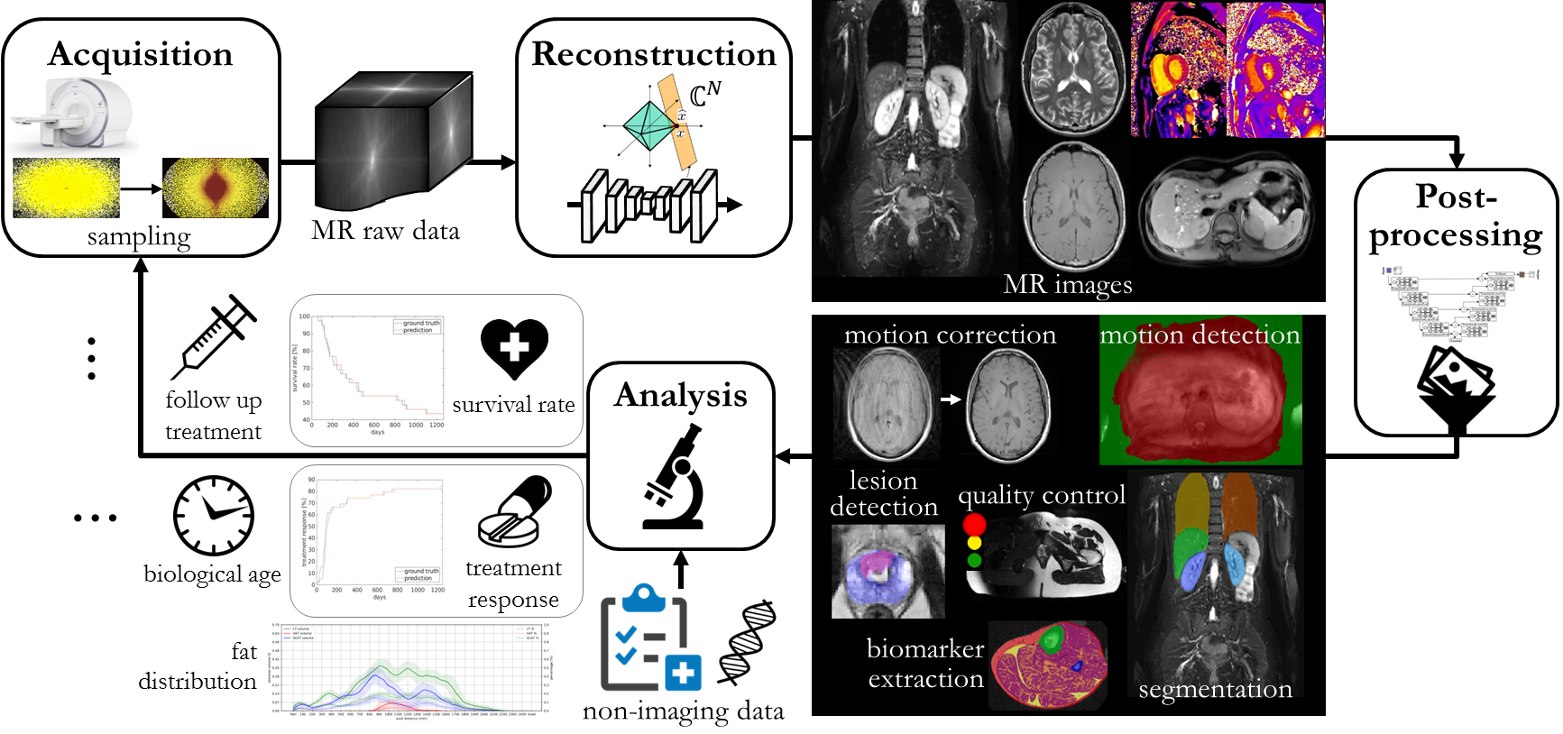 Fließdiagramm wissenschaftliche Abbildung