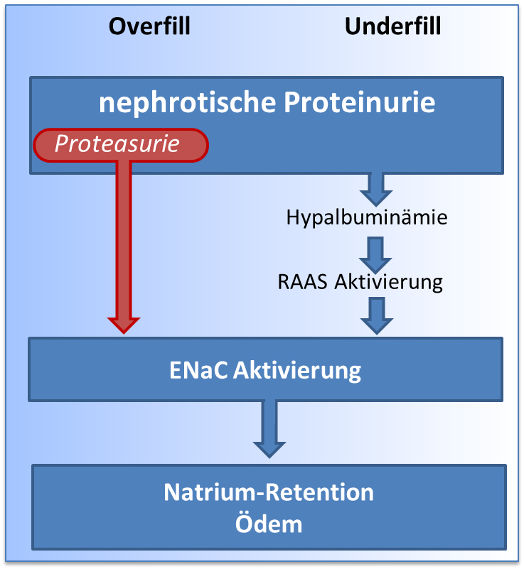 Wissenschaftliche Abbildung