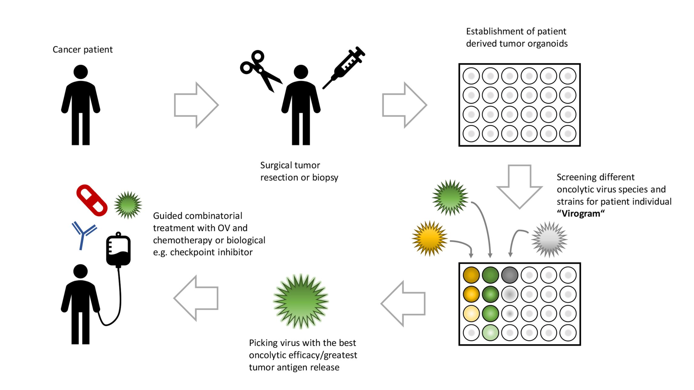 Scientific illustration