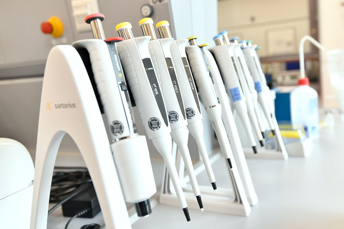 Pipetten im Halter
