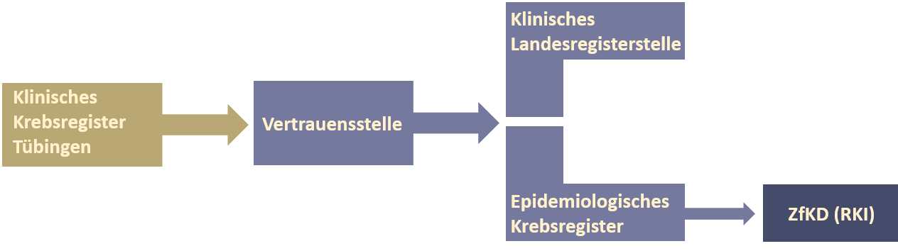 Schaubild Meldereihenfolge wie im Text beschrieben