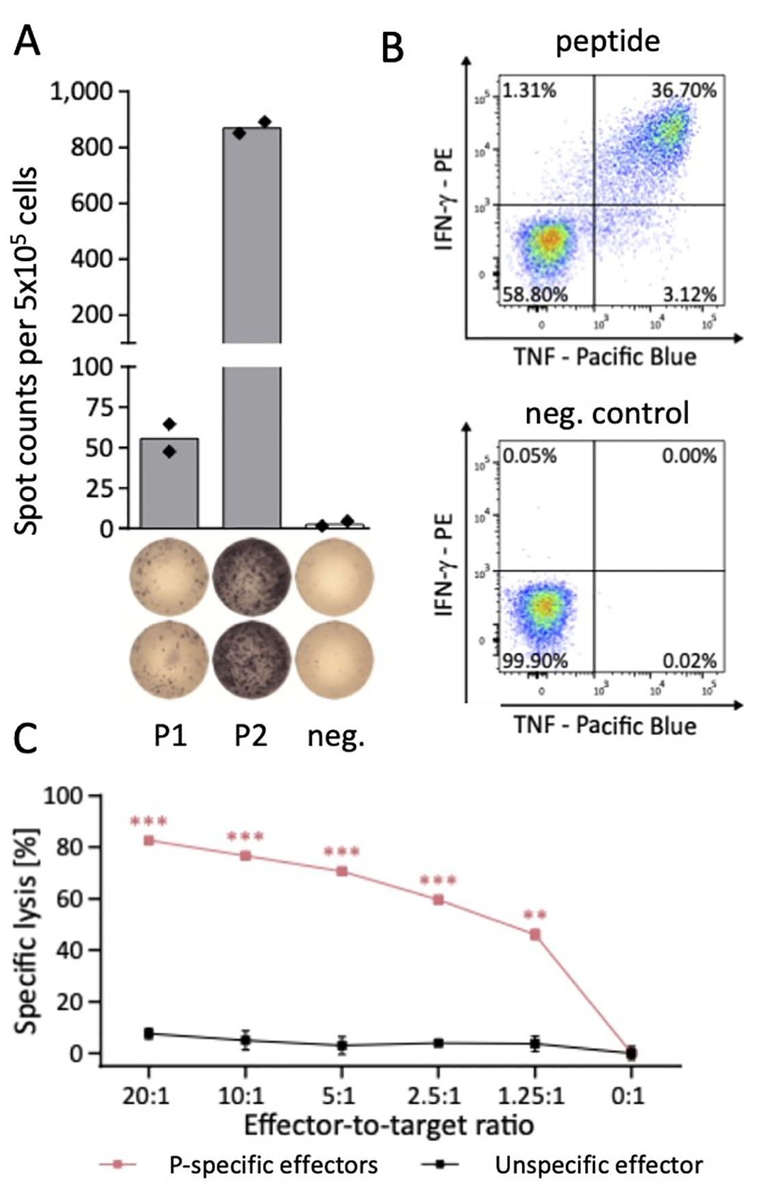 Wissenschaftliche Abbildung
