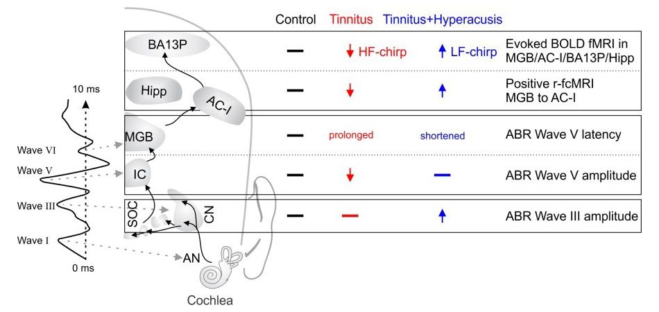 Wissenschaftliche Abbildung