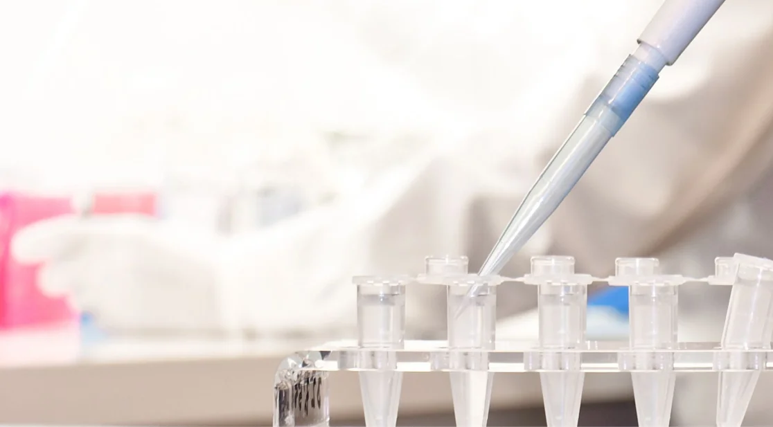 Pipette und Eppendorfcups