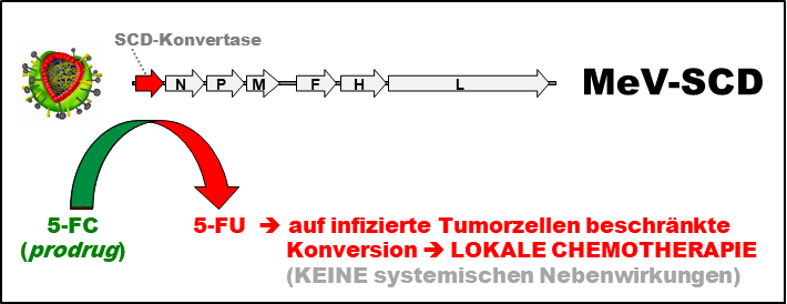 Wissenschaftliche Abbildung