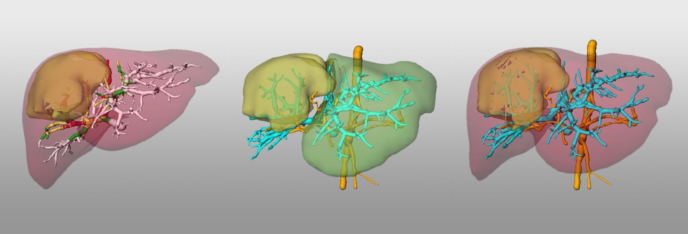 Wissenschaftliche Abbildung