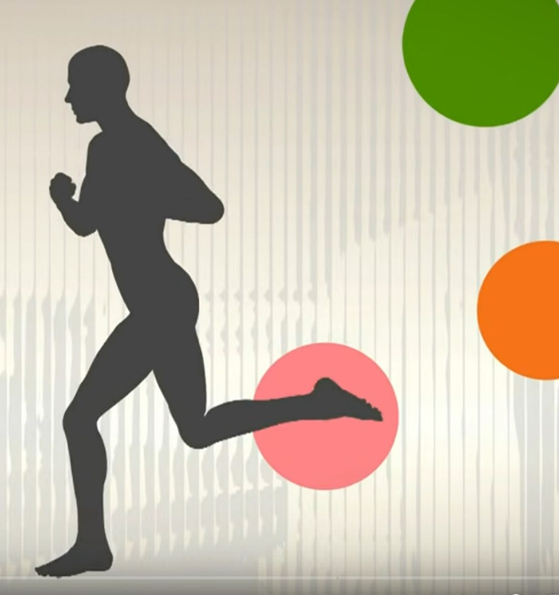 Personen trainieren unter Anleitung an verschiedenen Trainigsgeräten und auf Gymnastikmatten