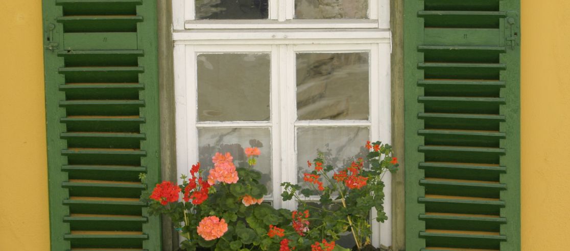 Gelbes Haus mit grünen Fensterläden