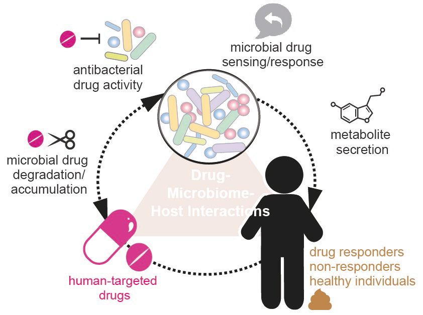 Wissenschaftliche Abbildung