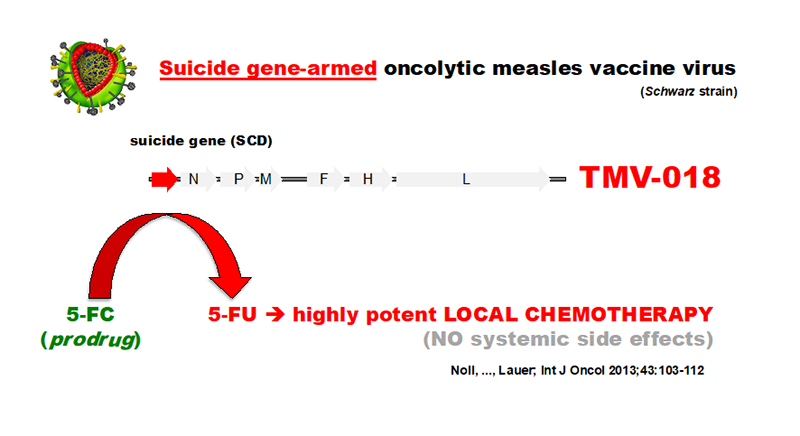 Scientific illustration
