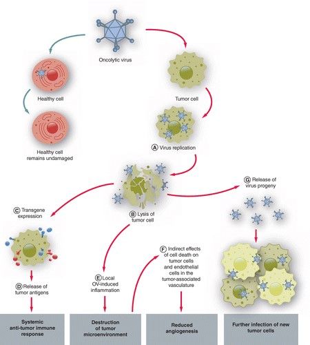 Wissenschaftliche Abbildung