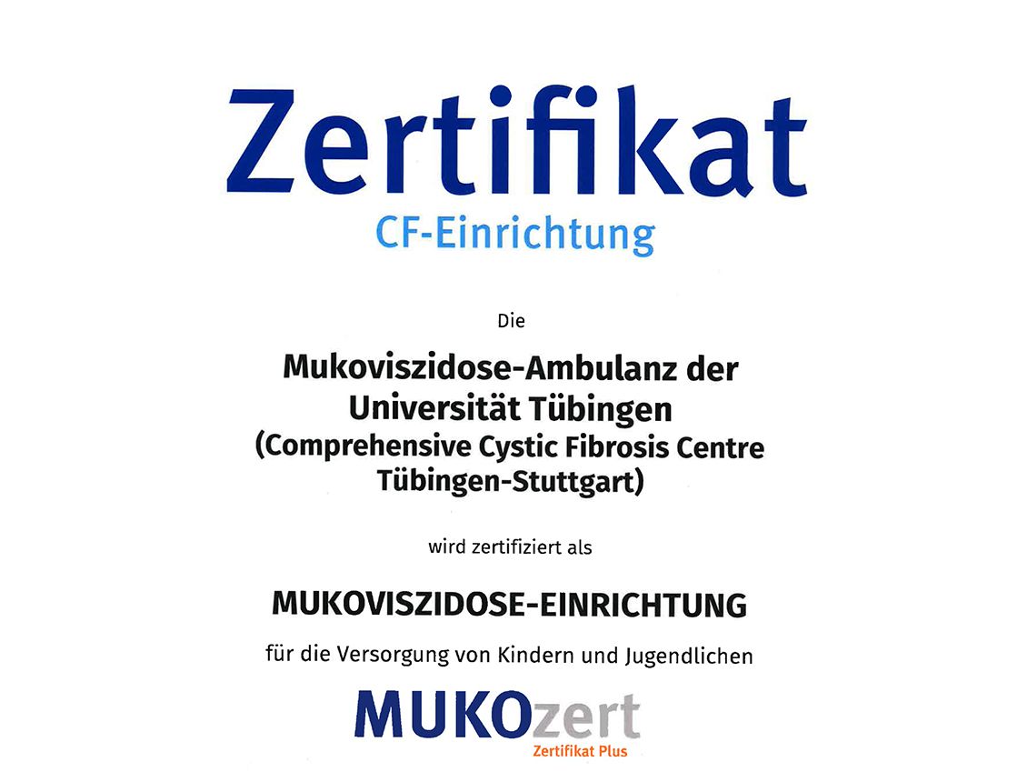 Abbildung Zertifikatsurkunde