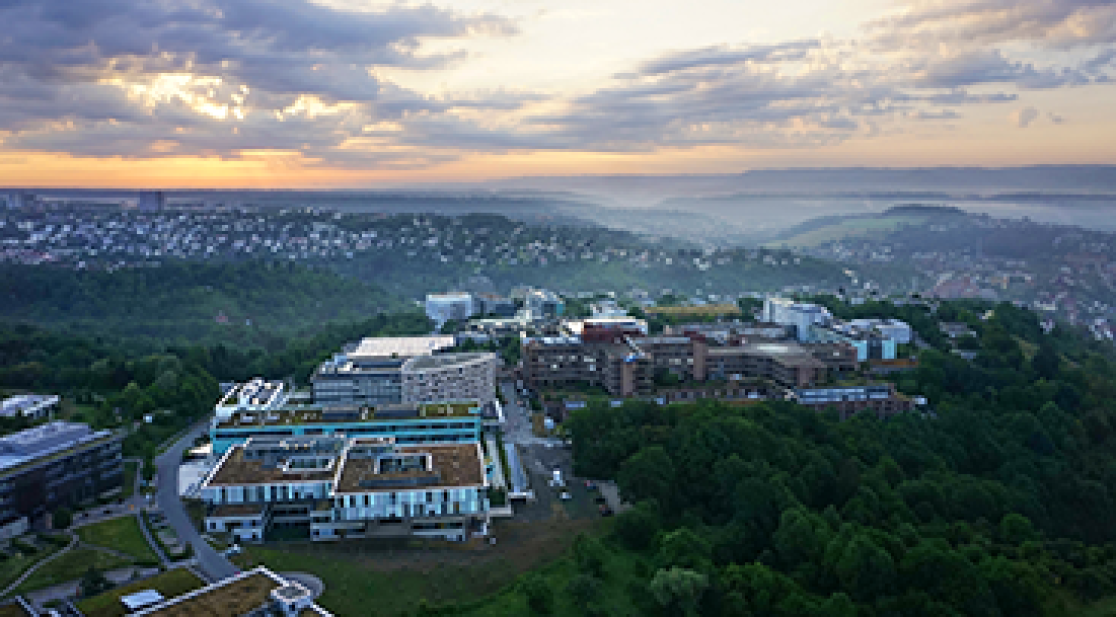 Tochtergesellschaften