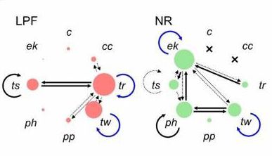 Wissenschaftliche Abbildung