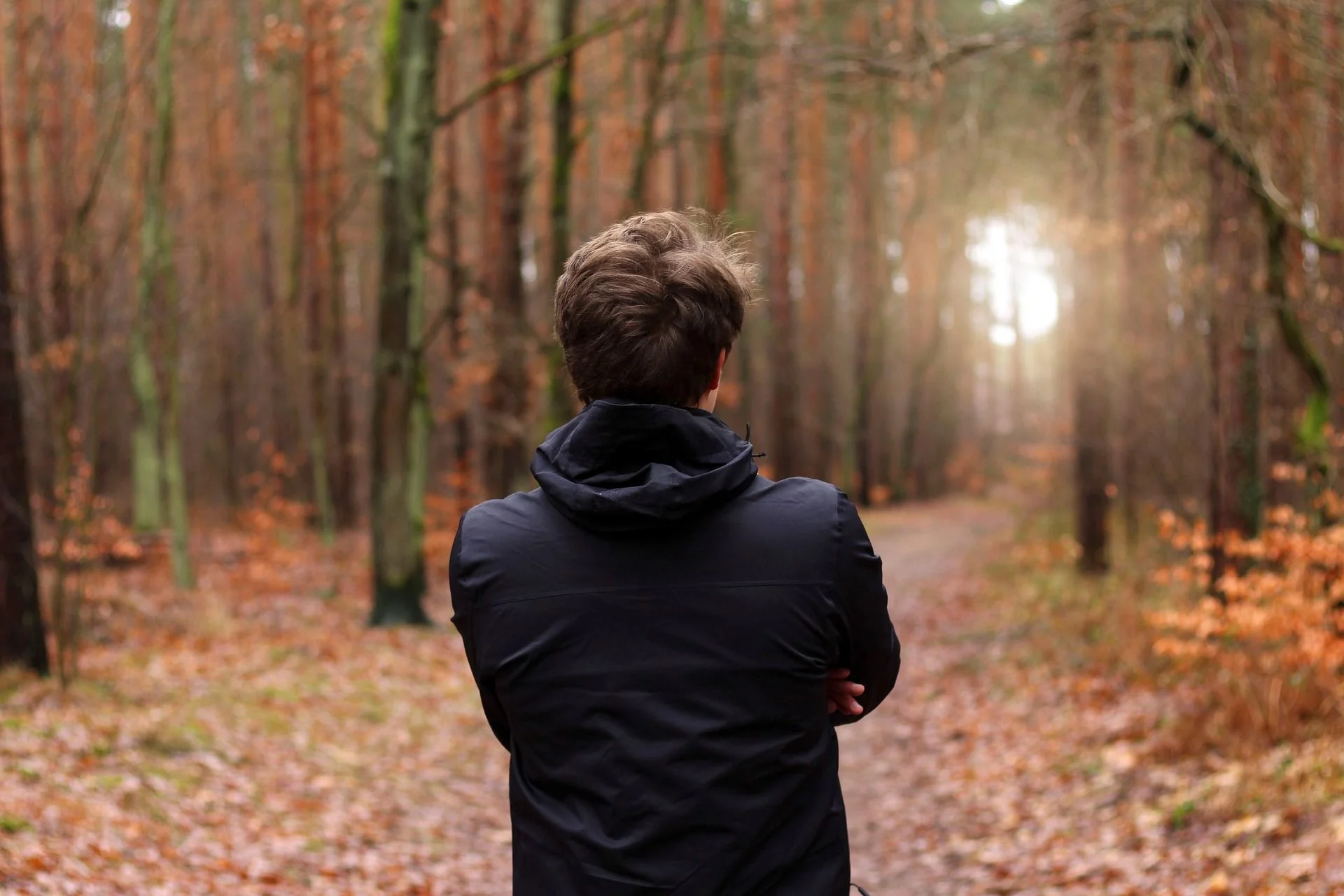 Rückansicht eines jungen Menschen vor Herbstwald