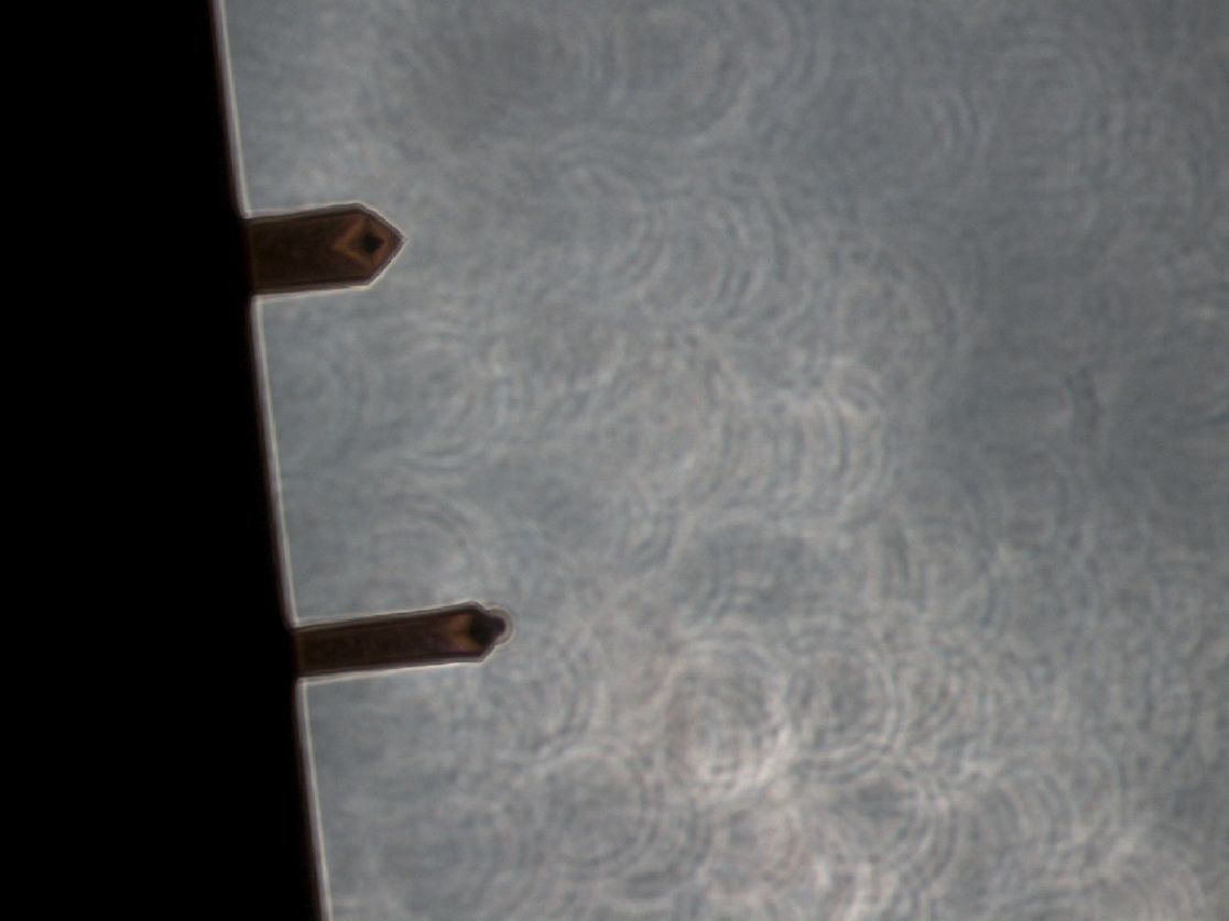 Wissenschaftliche Abbildung