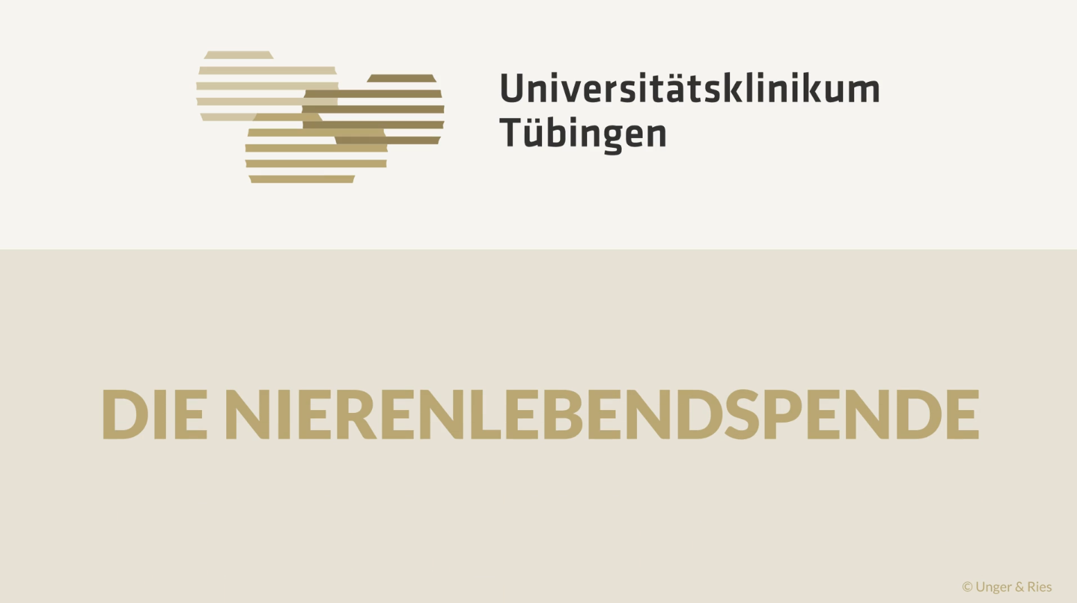 Thumbnail Nierenlebendspende