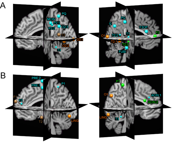 Wissenschaftliche Abbildung
