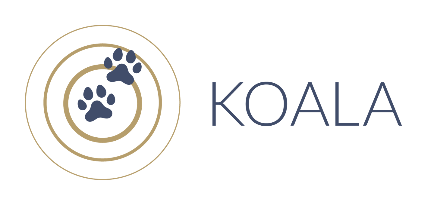 KOALA Studie Key Visual