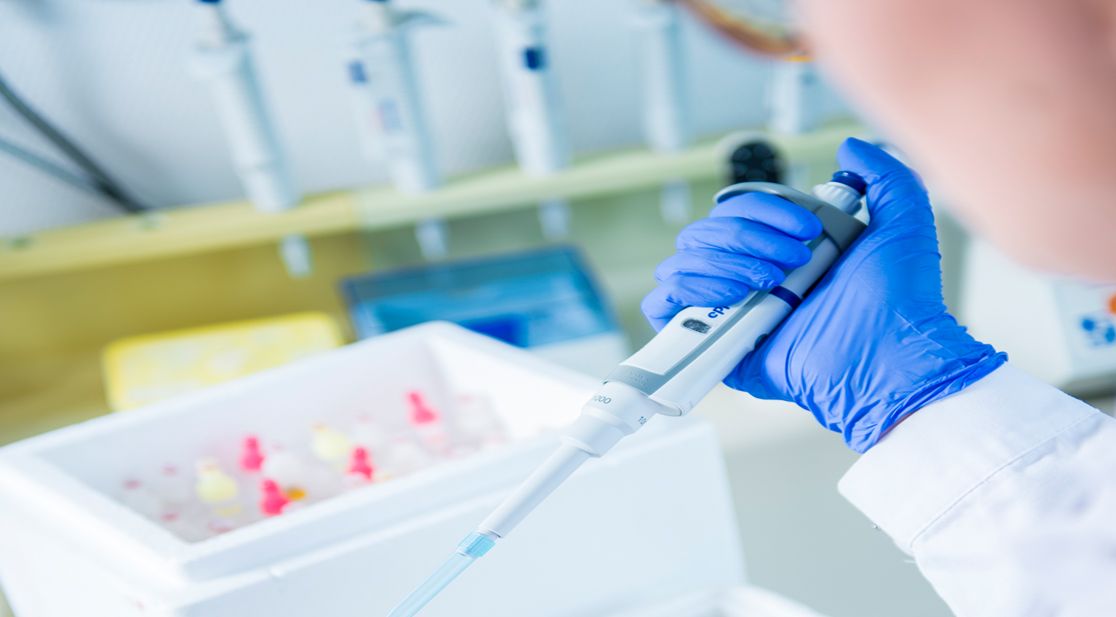 Symbolbild: Blutuntersuchung im Labor
