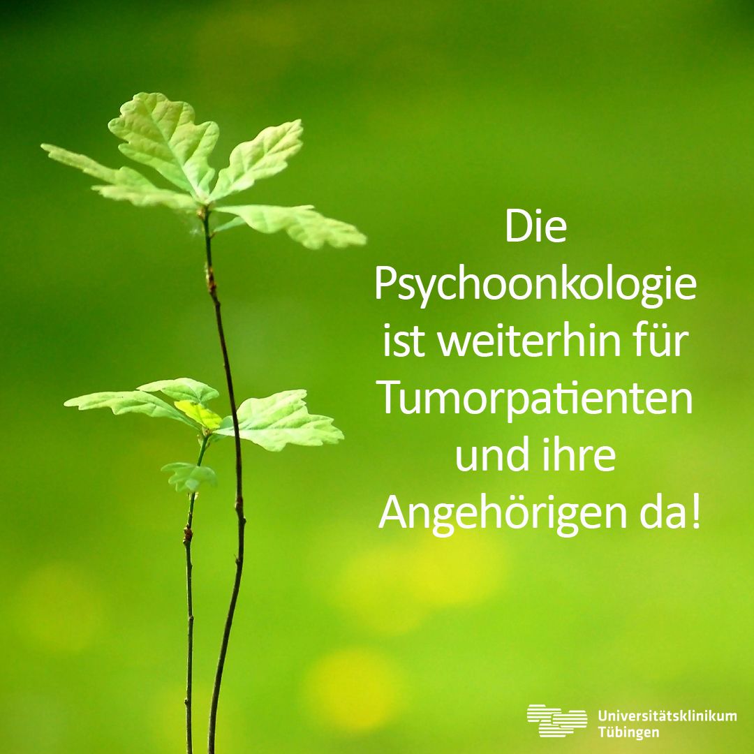 Bildquelle: