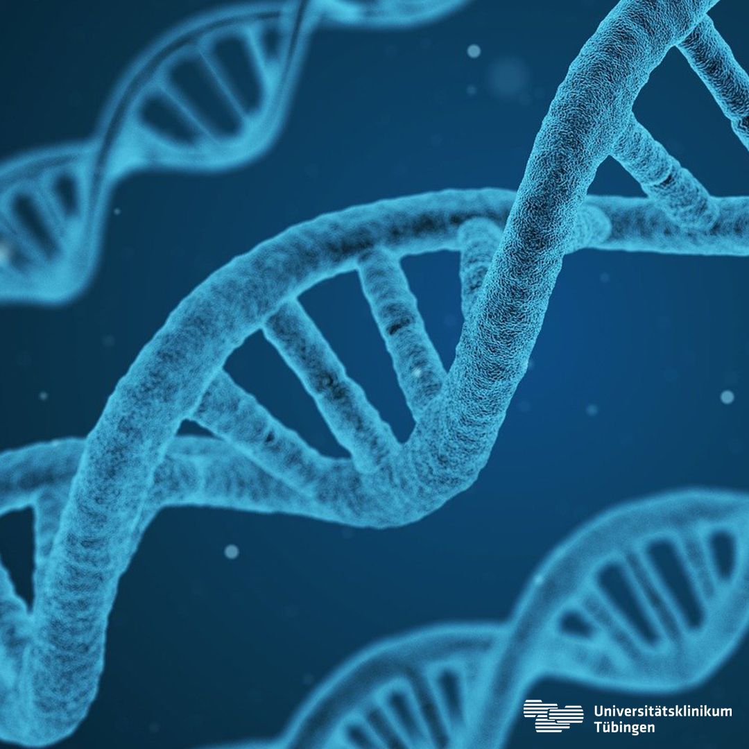 DNA-Strang