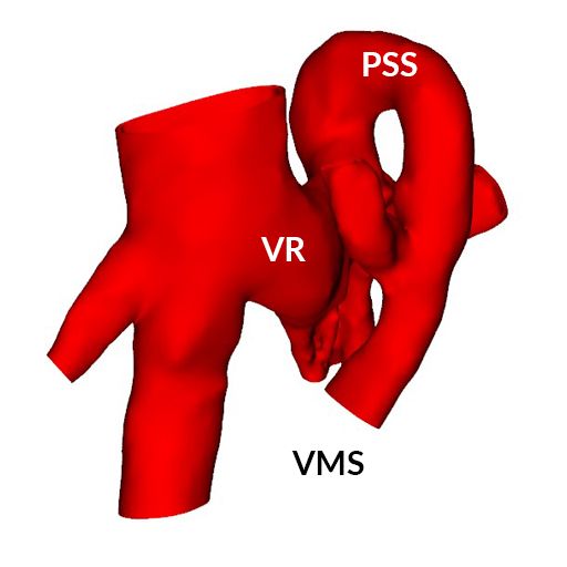 Wissenschaftliche Abbildung CPSS