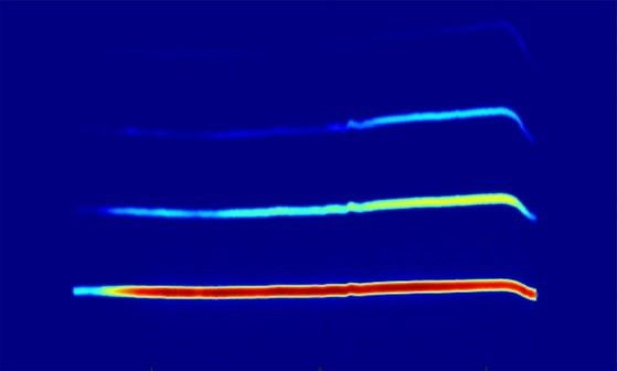 Wissenschaftliche Abbildung