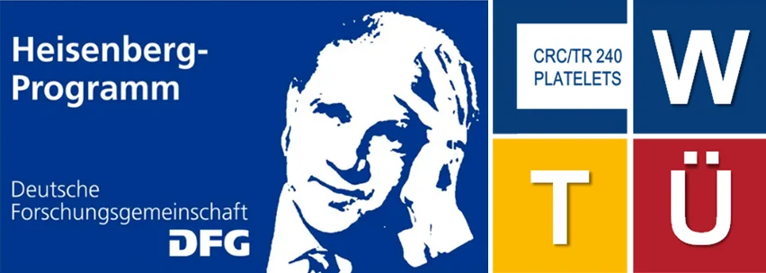Logo Heisenberg Stiftung und Logo Transregio CRC 240