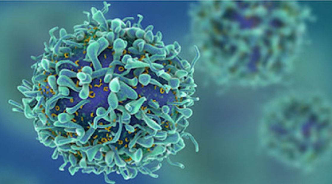 Grafische Darstellung einer Krebszelle