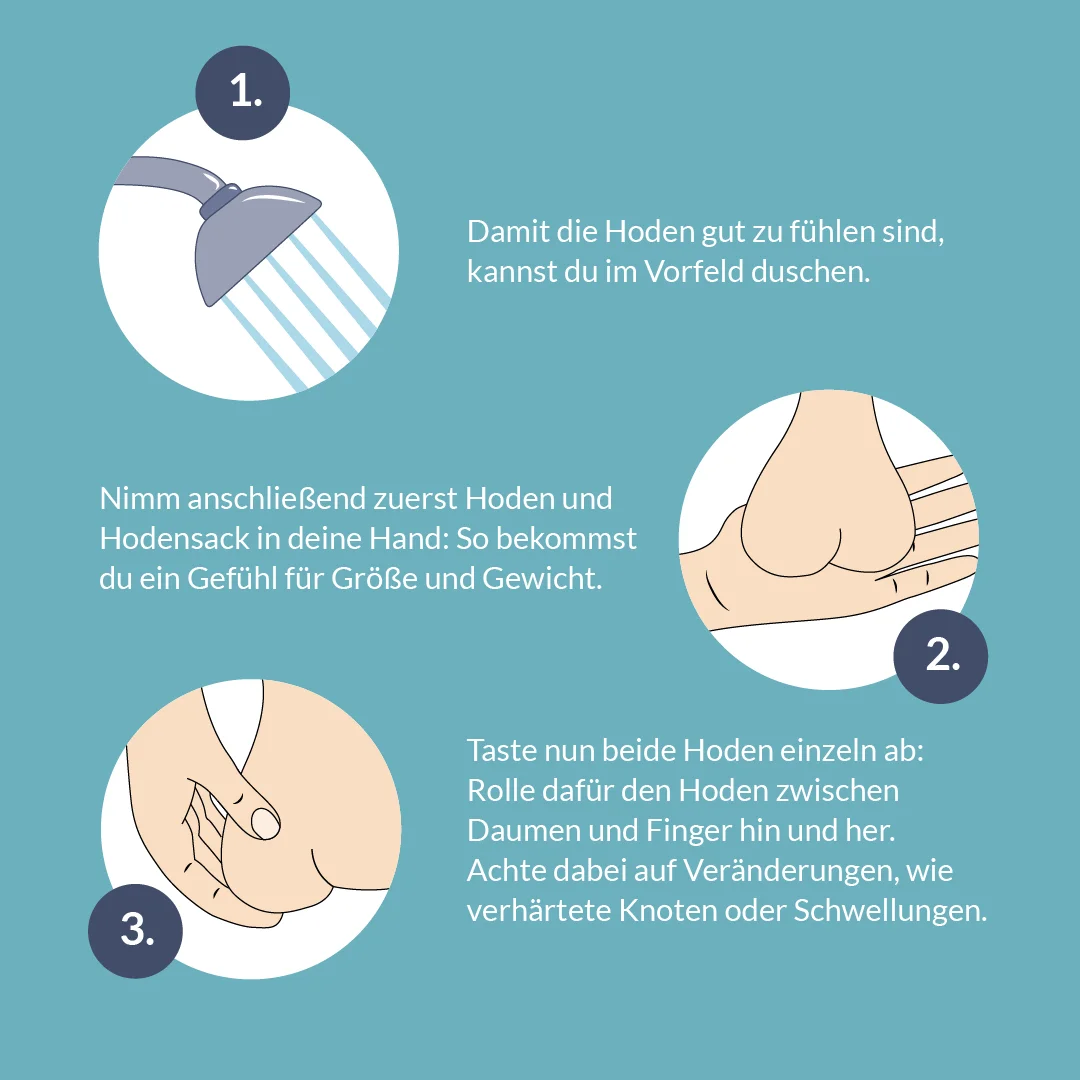 Selbstuntersuchung der Hoden: Schritt für Schritt Anleitung