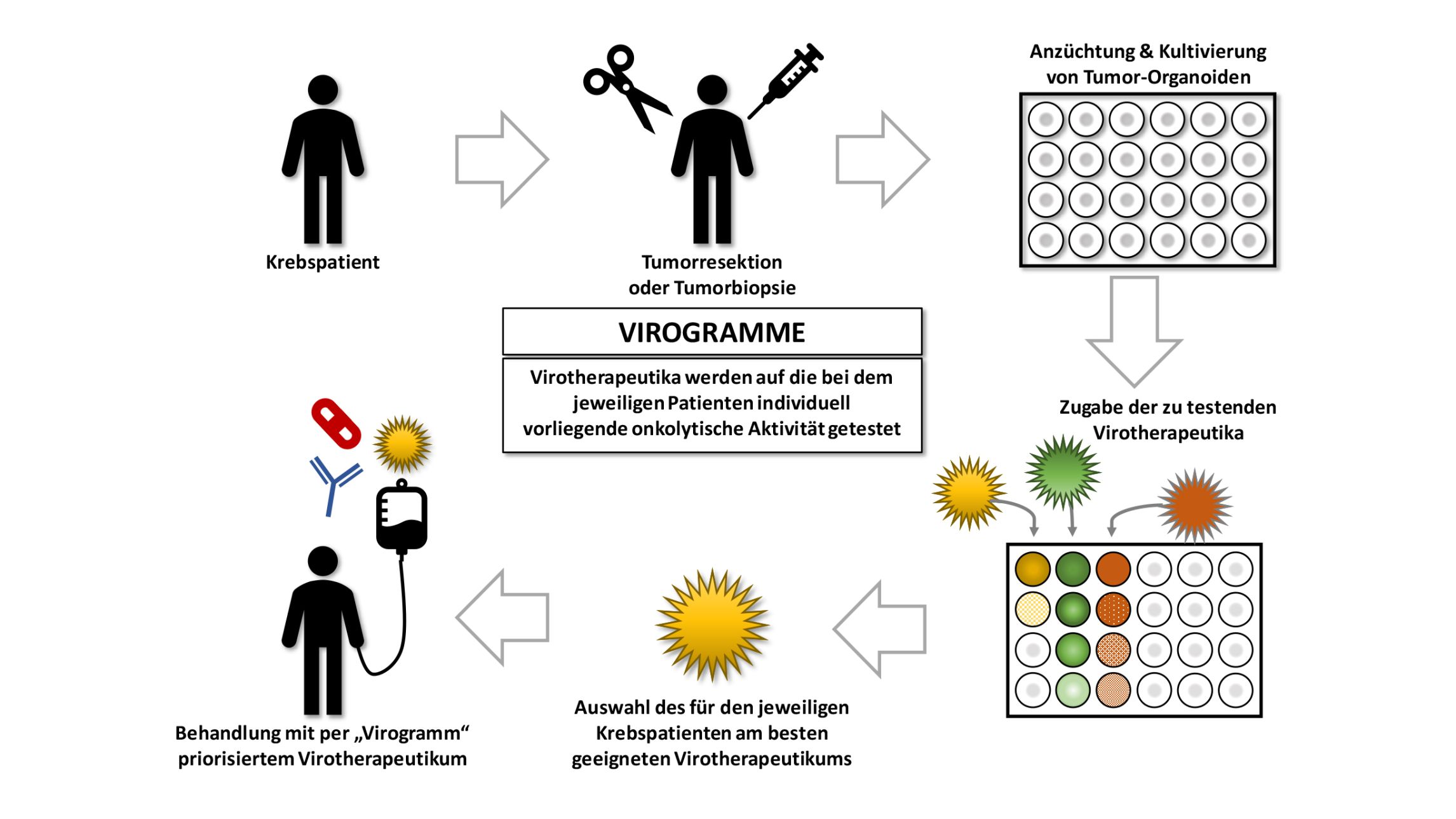 Wissenschaftliche Abbildung