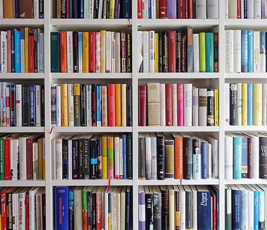 Schmuckbild: Regal mit Büchern